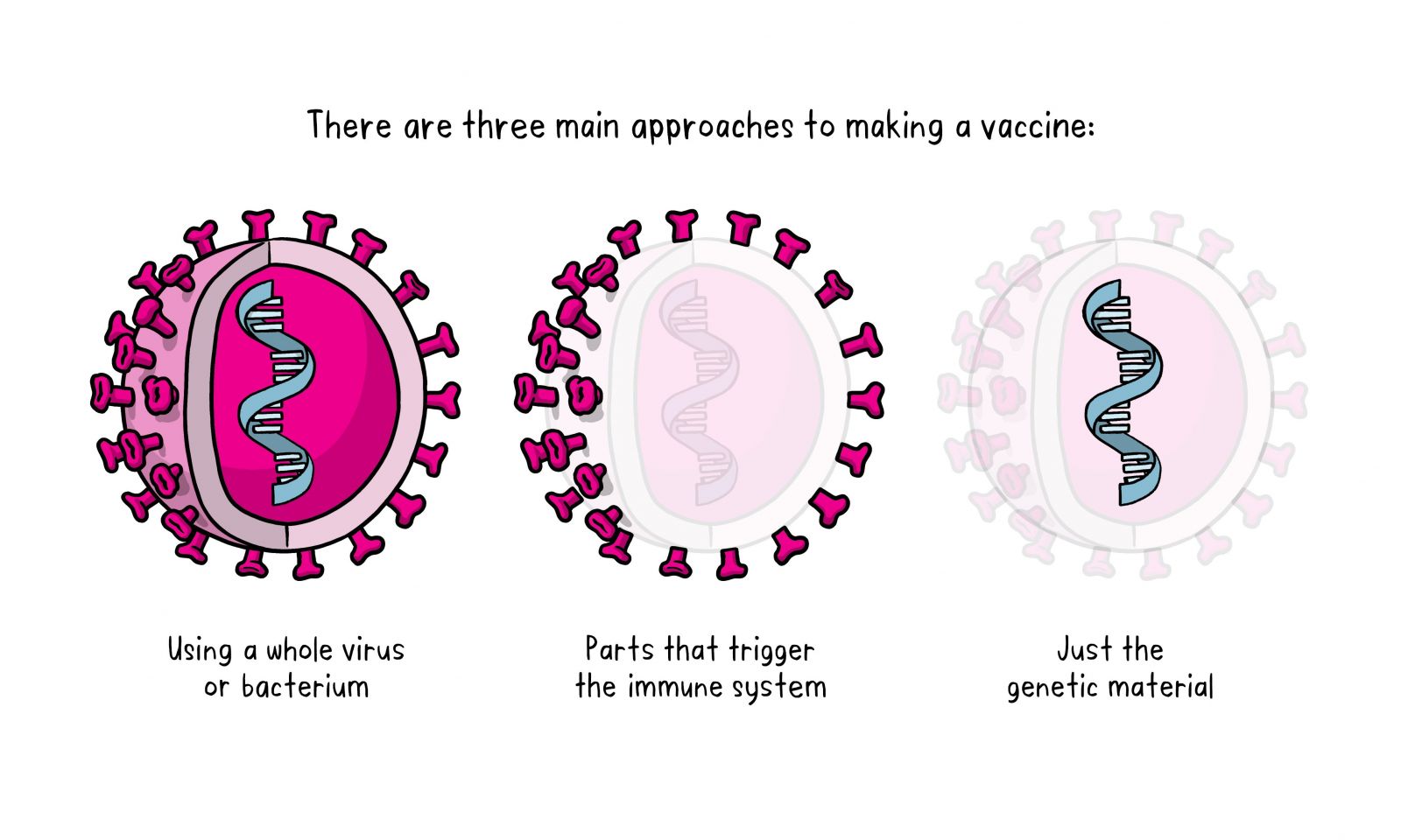 các loại vaccine covid-19