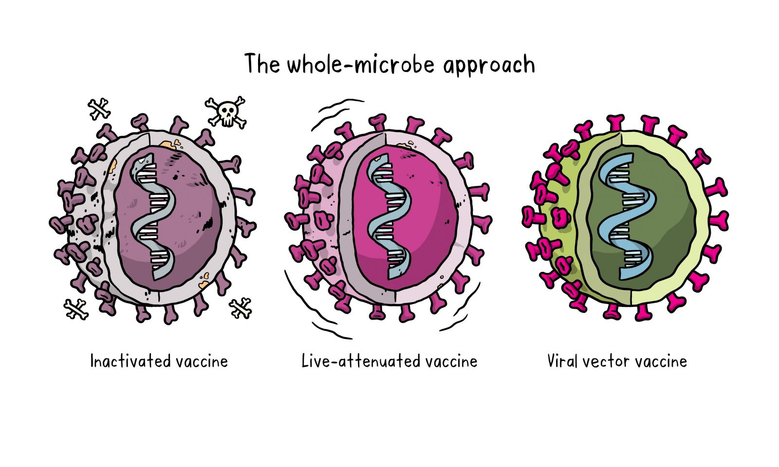 các loại vaccine covid-19