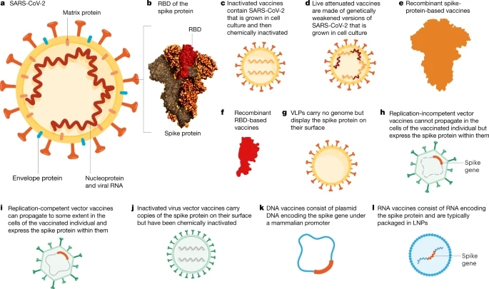 Qui trình làm một vaccine