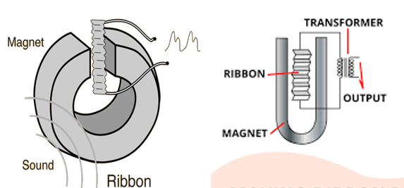 Mic micro phone thu âm ribbon